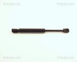 TRISCAN Amortizor capota TRISCAN 8710 24102 (8710 24102) - fixbox