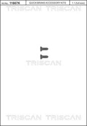 TRISCAN Set surub, disc frana TRISCAN 8105 116008 (8105 116008)