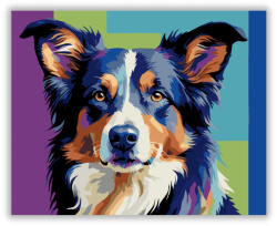  Neon Színű Border Collie - számfestő készlet