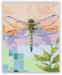  Szitakötő Irizáló Szárnyakkal - számfestő készlet