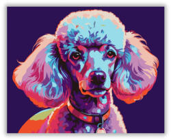  Neon Színű Poodle - számfestő készlet