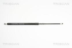 TRISCAN Amortizor portbagaj TRISCAN 8710 10208 (8710 10208) - automobilus