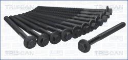 TRISCAN Set surub, chiulasa TRISCAN 98-8542 (98-8542)