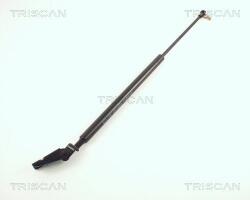 TRISCAN Amortizor portbagaj TRISCAN 8710 50205 - automobilus