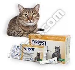 FYPRYST 10db-tól : Fypryst 0, 5 ml macska 1 pipetta Hatóanyag: Fipronil