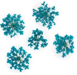 Xdeep Beauty Flori uscate pentru decorarea unghiilor Turquoise 5 buc