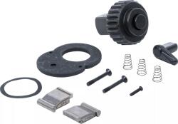 BGS technic Kit reparaţie pentru cheie dinamometrica 2834, BGS 2834-REPAIR (B-2834-REPAIR)