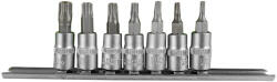 JBM Set biti Torx TS cu 5 colturi pentru suruburi de securizare, JBM 51746 (JBM-51746)