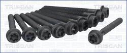 TRISCAN Set surub, chiulasa TRISCAN 98-2513 (98-2513)