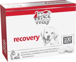 PetWay Recovery 100 tablete