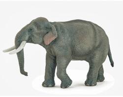 Papo Figurina Papo Wild Animal Kingdom - Asian elephant (Gri) Figurina