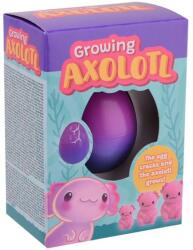  Növő axolotl tojás dobozban, 4 féle - jatek21