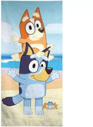 Carbotex Bluey Balance fürdőlepedő, strand törölköző 70x140cm (Fast Dry) (AYM077926)