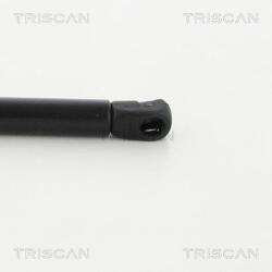 TRISCAN 871040241 Amortizor portbagaj