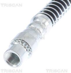 TRISCAN 815028110 Furtun frana