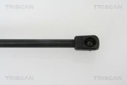 TRISCAN 871029263 Amortizor portbagaj