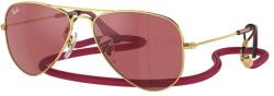 Ray-Ban RJ9506S 223/B5 52 (RJ9506S 223/B5 52)