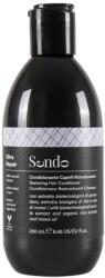 Sendo Concept Sendo Ultra Repair Дълбоко възстановяващ балсам, 250 ml - ozone