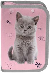 PASO Penar școlar Paso Cat - Pisică gri, cu 1 fermoar (PP24CT-P001BW) Penar