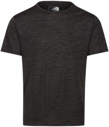 REGATTA Férfi póló Fingal Edition Marl 4XL mályva|szürke