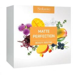 Solanie Matte Perfection Beauty Routine - hairpower