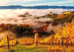 Enjoy - Puzzle În podgorii - 1 000 piese Puzzle