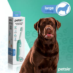  Petsie kutyafogkefe (S méret -10kg)