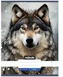 Nebulo Nebulo: Farkas sima füzet A4 80-32 (SI-AM-A4-12348244) - jatekshop