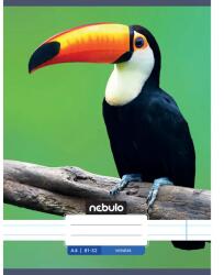 Nebulo Nebulo: Tukán mintás vonalas füzet 81-32 A/4 (VO-AM-A4-12348039) - jatekshop