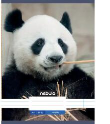 Nebulo Nebulo: Panda mintás vonalas füzet 81-32 A/4 (VO-AM-A4-12348022) - jatekshop