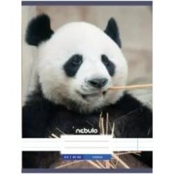 Nebulo Nebulo: Panda sima füzet A4 80-32 (SI-AM-A4-12348268) - jatekshop