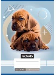 Nebulo Nebulo: Két kutya mintás 4. osztályos vonalas füzet A/5 21-32 (VO4-AM-A5-12346912) - jatekshop