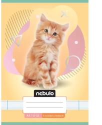 Nebulo Nebulo: Tűzött 3. osztályos vonalas füzet A5-ös 12-32 Állatos - Cicás (VO3-AM-A5-12346813) - jatekshop