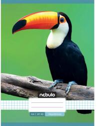 Nebulo Nebulo: Tűzött kockás tukán mintás füzet 87-32 A/4 (NR-AM-A4-12348152)
