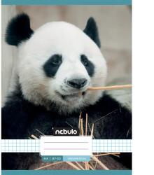 Nebulo Nebulo: Tűzött kockás panda mintás füzet 87-32 A/4 (NR-AM-A4-12348145) - jatekshop