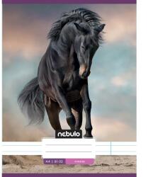 Nebulo Nebulo: Ló a homokban vonalas füzet 81-32 A/4 (VO-LD-A4-12347377) - jatekshop