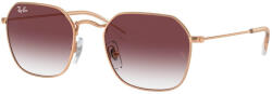 Ray-Ban RJ9594S 291/8H
