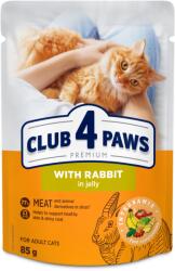 CLUB 4 PAWS Club 4 Paws, Hrana umeda pisici, Iepure in jeleu, set 24x85g