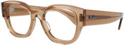 Ray-Ban RX 7681V 8353 52 Ochelari de citit