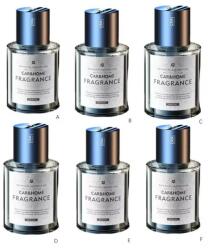 AFM Rezerva ulei aroma OCEAN pentru Difuzor auto miros FS-3604, difuzor aroma ulei esential (FL48900)