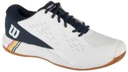 Wilson Férfi teniszcipő, Rush Pro Ace Clay RG 45 1/3 színes