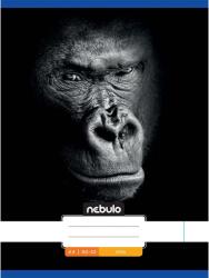 Nebulo Nebulo: Tűzött sima gorilla mintás füzet 80-32 A/4 (SI-AM-A4-12348251)