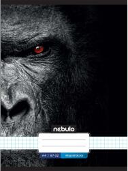 Nebulo Nebulo: Tűzött kockás gorilla mintás füzet 87-32 A/4 (NR-XM-A4-12347810) - jatekshop