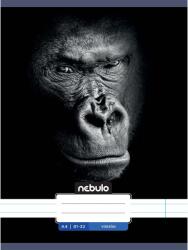 Nebulo Nebulo: Tűzött vonalas gorilla mintás füzet 81-32 A/4 (VO-AM-A4-12348015) - jatekshop