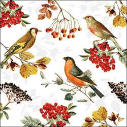 Ambiente Madaras szalvéta - 25x25 cm - Autumn Birds (VR-12517730)