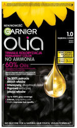 Garnier Hair Colour 1.0 Negru închis