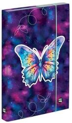 KARTON P+P Füzetbox OXY A/4 Butterfly (3-75625) - robbitairodaszer
