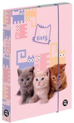 KARTON P+P Füzetbox OXY A/4 Pets (5-69525) - robbitairodaszer