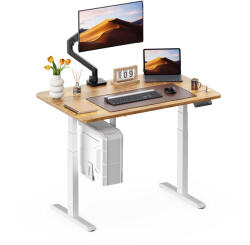 StableDesk Birou reglabil electric StableDesk Plus 2 (Model 2025), 2 motoare, Ridica 100 kg, Controler cu Butoane, Aplicatie Smart pentru Telefon, Ergonomic, 3 F (SD-113-AL-R-LR-120x67)