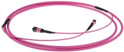 ACT 276125 Multimode 50/125 OM4(OM3) polarity A fiber trunk cable with MTP/MPO female connectors 70m Pink, Hálózati kábelek (DC5007)